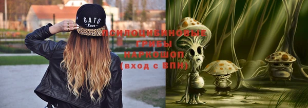 гидра Тобольск
