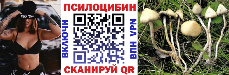 Псилоцибиновые грибы прущие грибы  где купить наркоту  Цоци-Юрт 